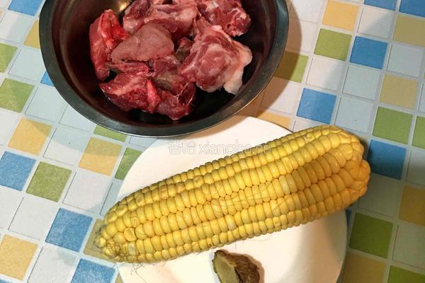 玉米排骨汤的做法图解1