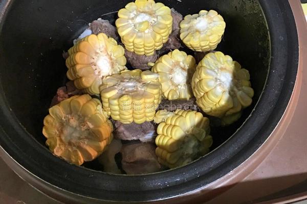 玉米排骨汤的做法图解4