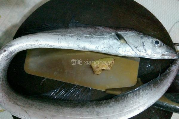带鱼汤的做法图解1