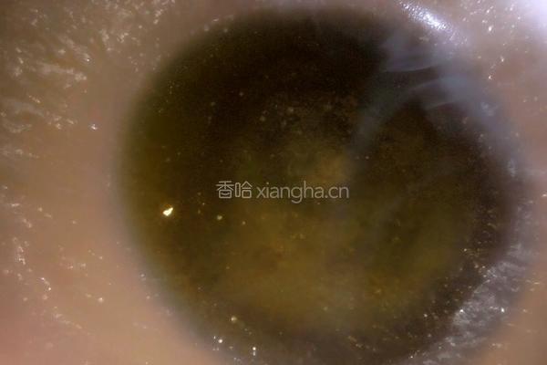 番茄鸡蛋炒面的做法图解2
