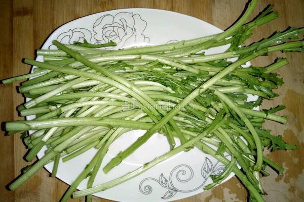 蒜香茼蒿的做法图解2