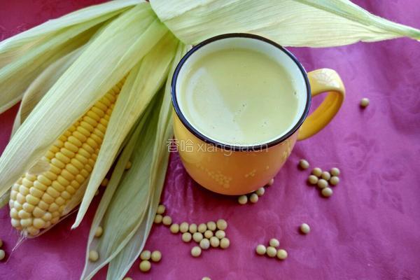 玉米豆浆