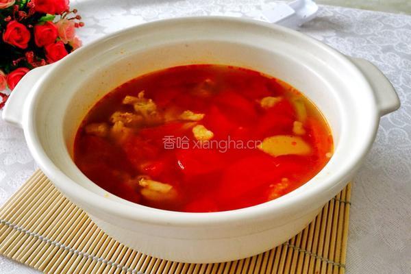 西红柿牛腩汤的做法图解7