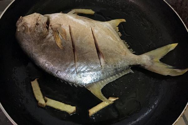 红烧海鲳鱼的做法图解4