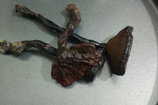紫灵芝炖排骨的做法图解1