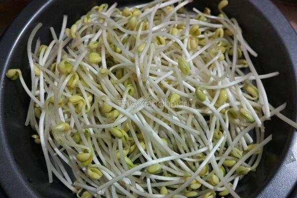 素炒黄豆芽的做法图解1