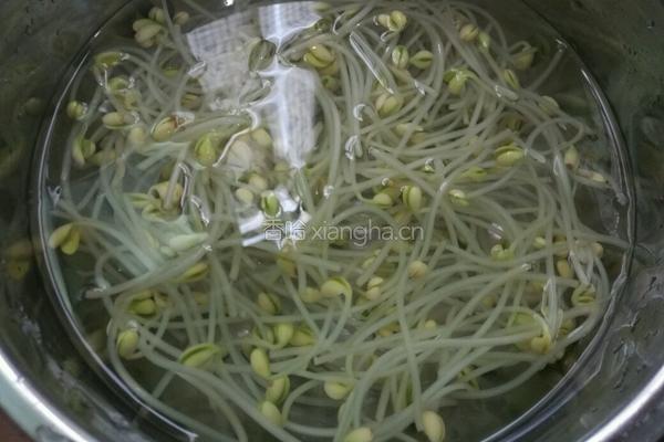 素炒黄豆芽的做法图解3