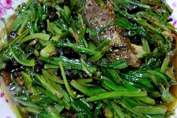 豆豉鲮鱼油麦菜的做法图解7