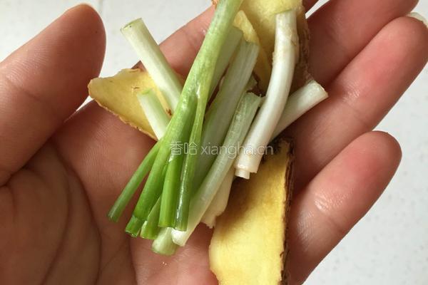 砂锅排骨海带汤的做法图解4
