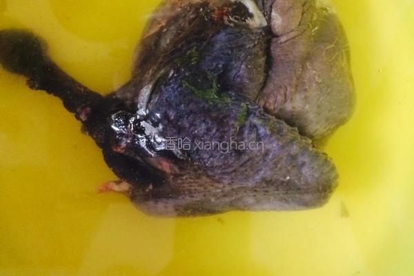 当归鸡汤的做法图解2