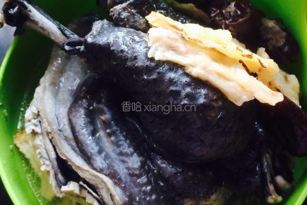 当归鸡汤的做法图解7