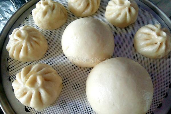 黄瓜包子的做法图解24