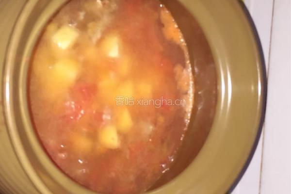 番茄土豆排骨汤的做法图解6
