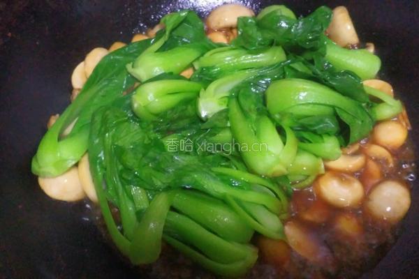 椒油口蘑小油菜的做法图解13