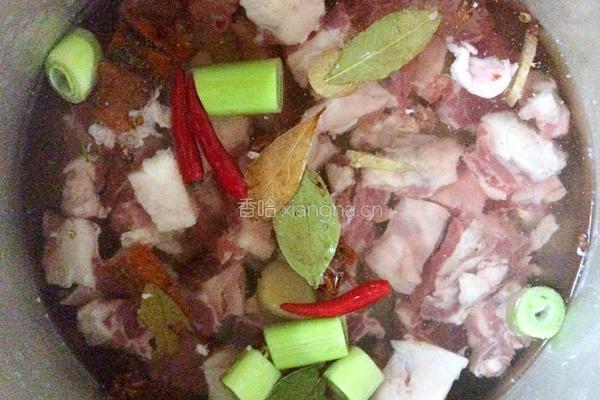牛肉炖西红柿的做法图解4