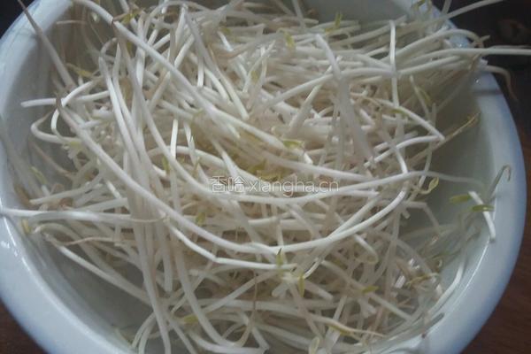 绿豆芽炒鸡肉的做法图解2