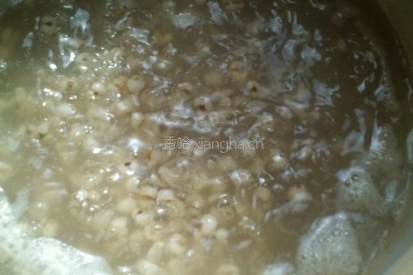 薏米水的做法图解4