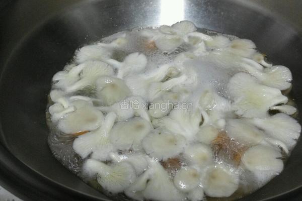 凉拌蘑菇的做法图解3