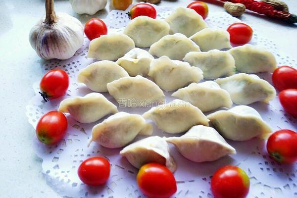 宝宝饺子的做法图解6