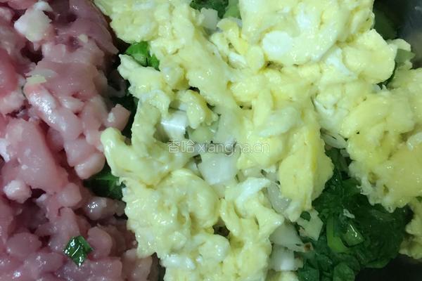 小白菜饺子的做法图解8