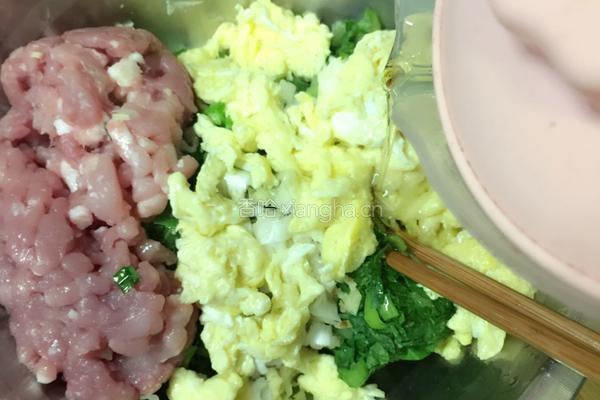 小白菜饺子的做法图解10