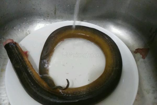 爆炒黄鳝的做法图解3