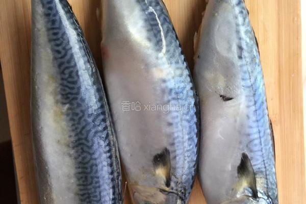 鱼肉馅水饺的做法图解2