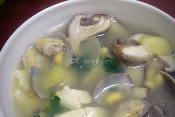 鲜蛤豆腐汤的做法图解7
