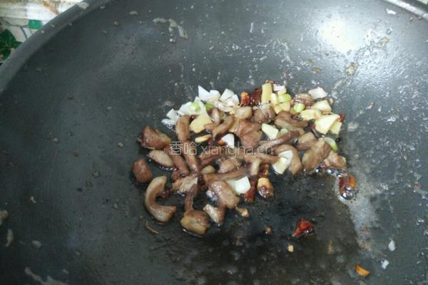 洋葱孜然羊肉的做法图解7
