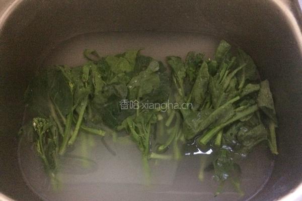 蒜蓉炒芥兰的做法图解3