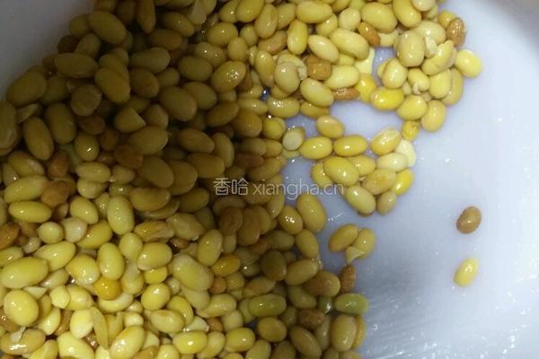 自制纳豆的做法图解5