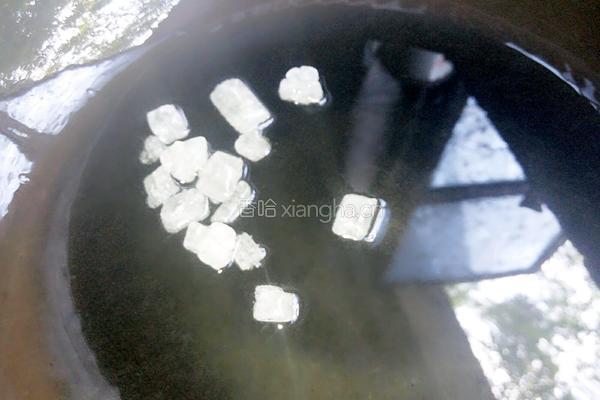 鸡骨架炖土豆的做法图解6
