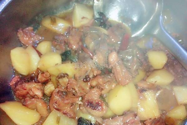 鸡骨架炖土豆的做法图解15