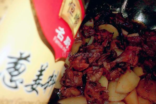 鸡骨架炖土豆的做法图解16