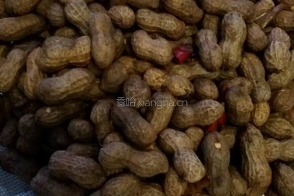 煮干花生的做法图解5