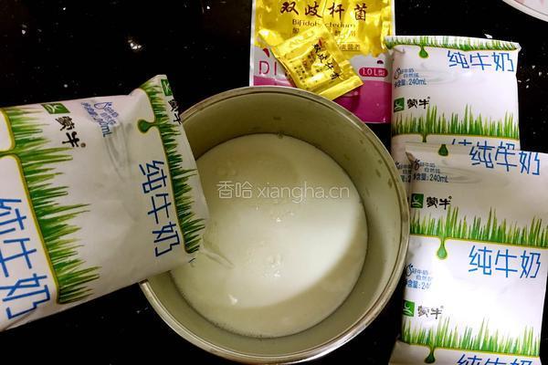 电饭煲做酸奶的做法图解4