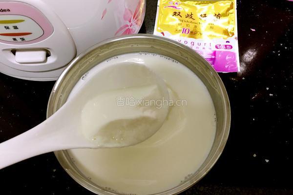 电饭煲做酸奶的做法图解9