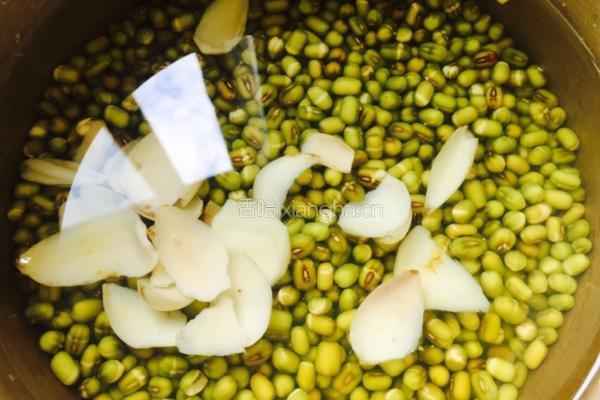 绿豆薄荷汤的做法图解5