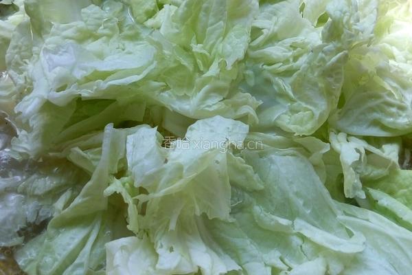 砂锅白菜豆腐的做法图解6