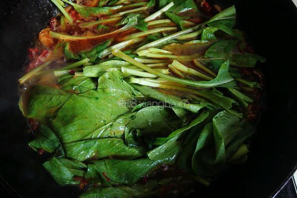 水煮干豆腐的做法图解8