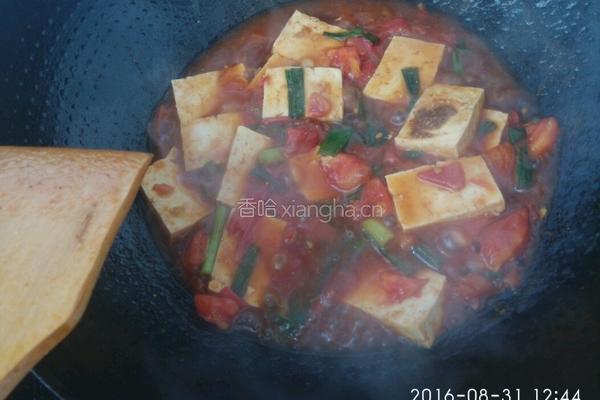 西红柿炖豆腐的做法图解8