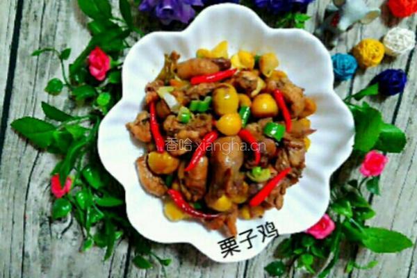 栗子鸡的做法图解6