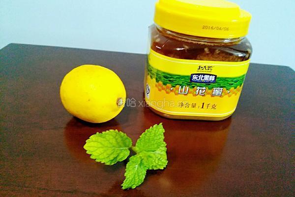 柠檬薄荷蜂蜜水的做法图解1