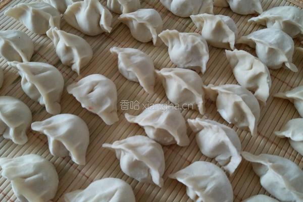 圆白菜猪肉馅饺子的做法图解10