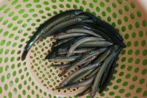 泥鳅豆腐汤的做法图解1