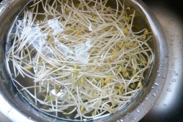 素炒辣味黄豆芽的做法图解1