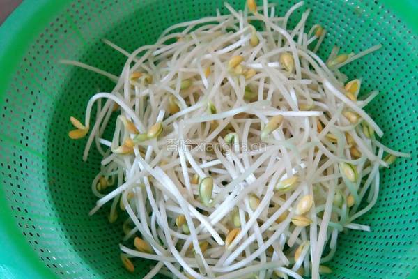素炒辣味黄豆芽的做法图解2