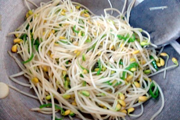 素炒辣味黄豆芽的做法图解9