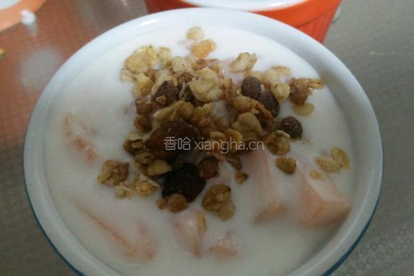 酸奶水果麦片粥的做法图解8