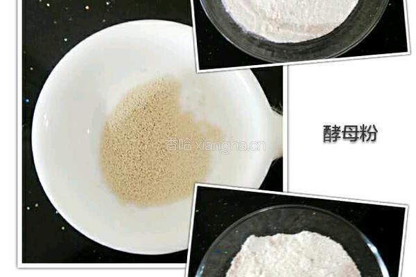 全麦馒头的做法图解1